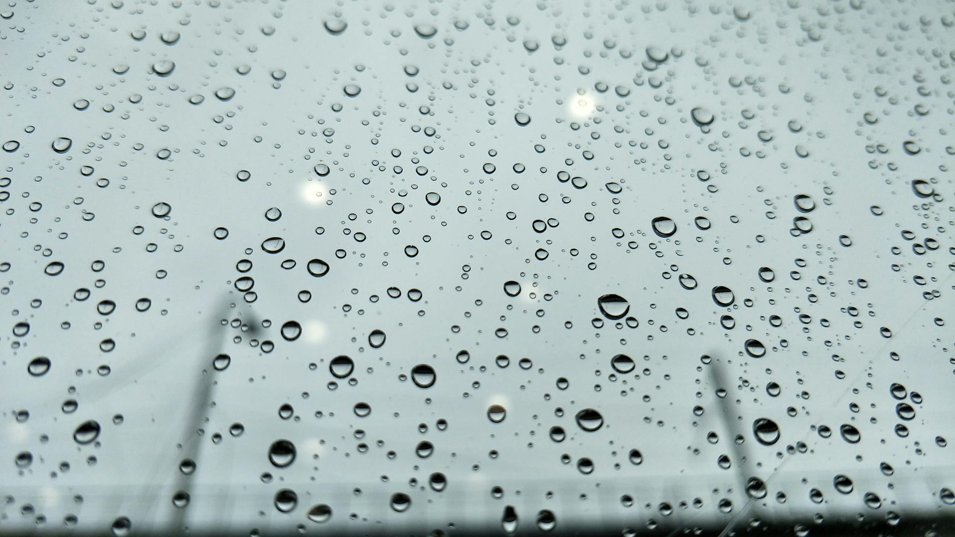 monsoon music