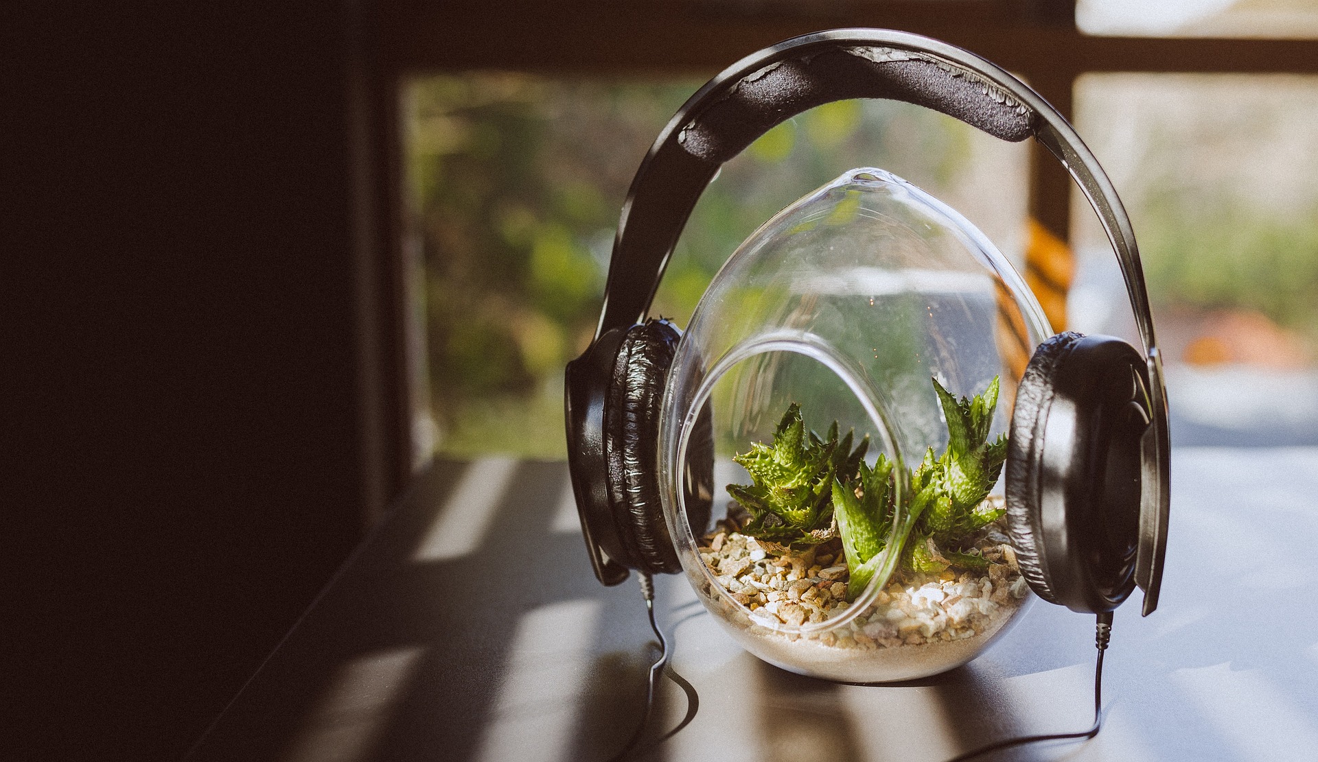 Best Songs for Nature Reels